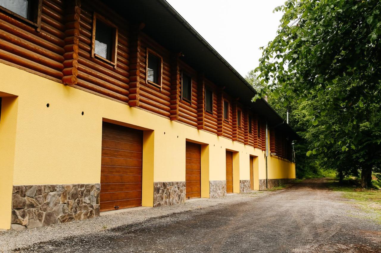 Chudodievo In Chynadievo Mini-Hotel Chynadiyovo Εξωτερικό φωτογραφία
